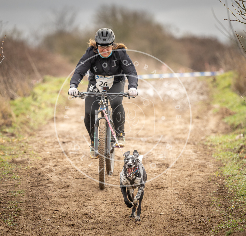 DV3A0733 | Hundefotografie, Tierfotograf, Pfotenfotografie, Fotoshooting Hund, Hunde Portrait, Hundesport, Hundeportraits, Heideshooting, Hunde, Sportfotograf, Hundefotograf, Turnierhundsport, THS,  - Realisiert mit Pictrs.com