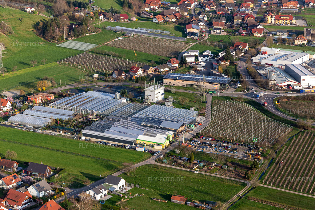 Luftbild: Glasdach- Flächen in den Gewächshausreihen zur Blumenzucht des Göppert Gartencenter GmbH im Kinzigtal im Ortsteil Bollenbach in Haslach im Bundesland Baden-Württemberg in Deutschland. Foto: IMG_120298.jpg vom 17.03.2020 durch Werner Riehm/FLY-FOTO.de