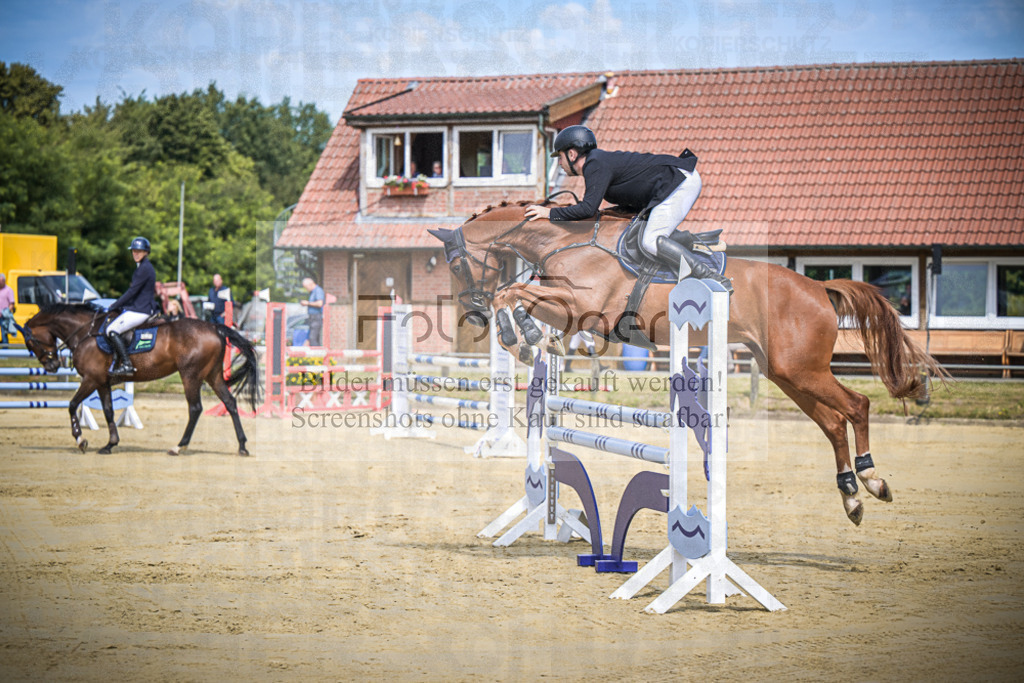 DOS_7033 | Entdecke hochwertige Reitturnierfotos von Foto Oger. Professionell, emotional und authentisch – jetzt Lieblingsmomente im Shop bestellen.Deutschlandweite Turnierfotografie. - Realisiert mit Pictrs.com