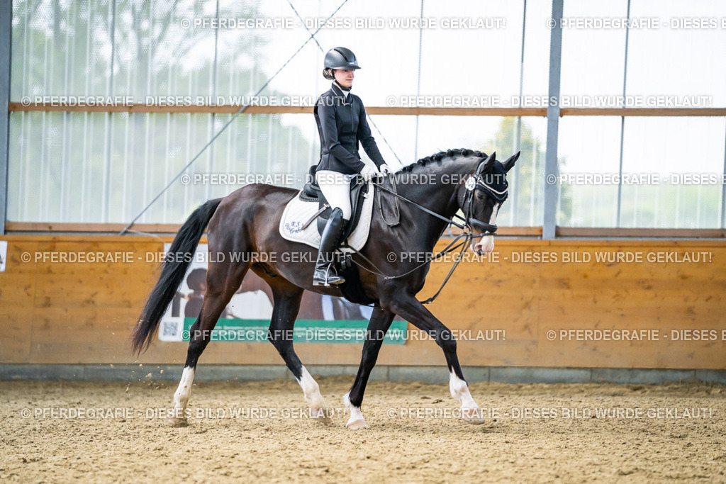 DSC04091 | Pferdegrafie