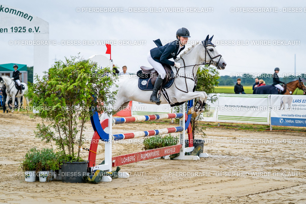 DSC01709 | Pferdegrafie