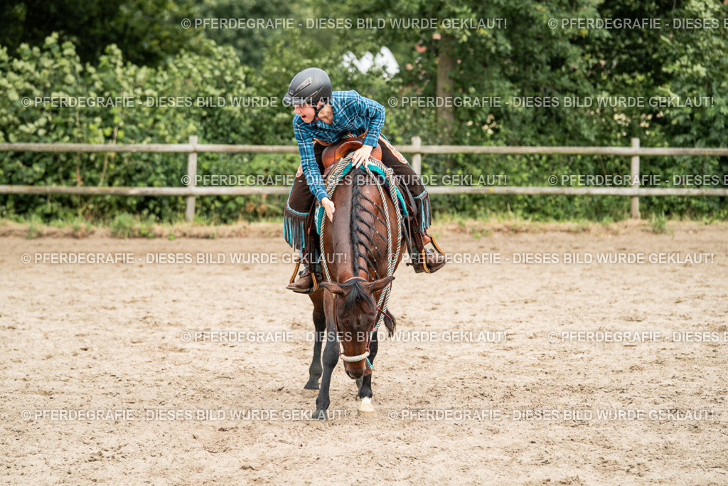 DSC04034 | Pferdegrafie