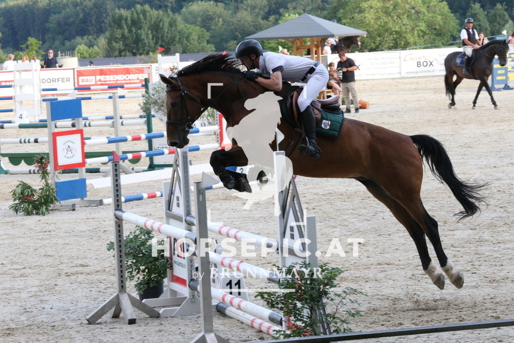 PP018713 | Willkommen bei Brunnmayr - Design & Fotografie – Ihrem Spezialisten für Reitturniere und Pferdeveranstaltungen in Oberösterreich, Salzburg und Bayern! Seit über 17 Jahren sind wir leidenschaftlich dabei.