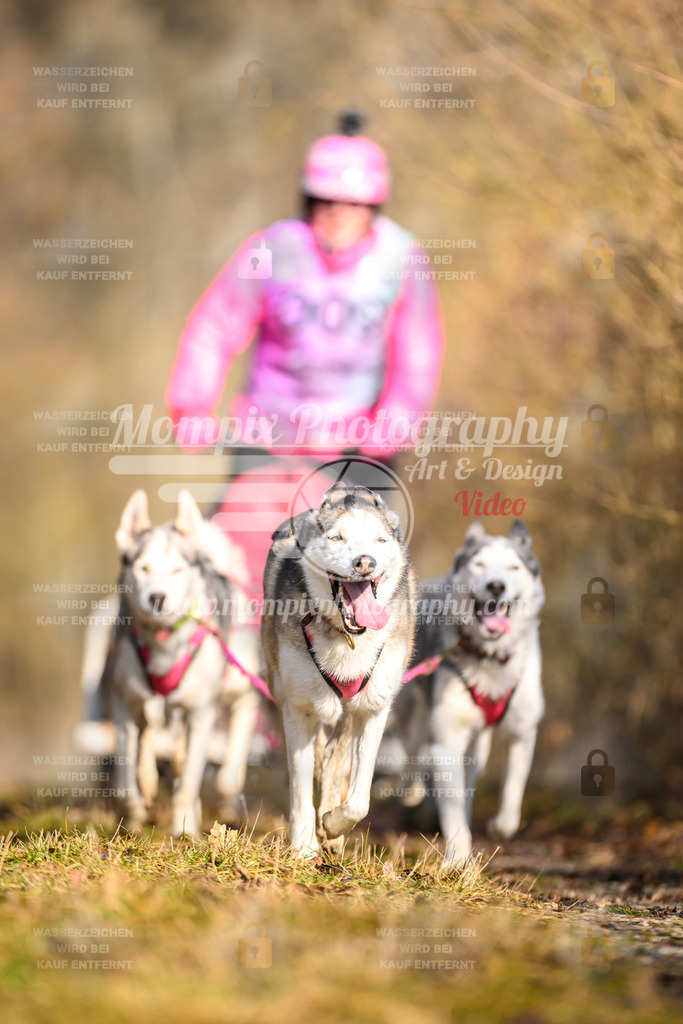 MompixPhotography_Schwabentrail2025_SO_Kart-16 | PayLife