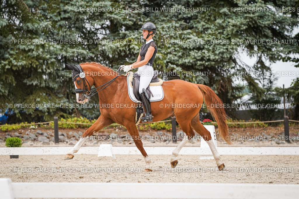 DSC07981 | Pferdegrafie