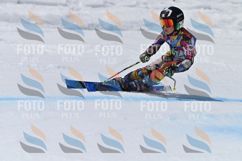 BGV_7061 | holidayphoto