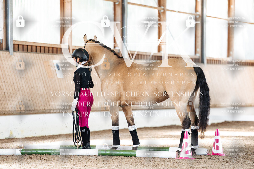 CK905357 | Turnierfotografie Pferdefotografie Trier Rheinland-Pfalz Pferdesport Reitsport Tierfotografie Sportfotografie Pferdevideo Pferdevideografie Equestrianvideography equestrianphotography  - Realisiert mit Pictrs.com