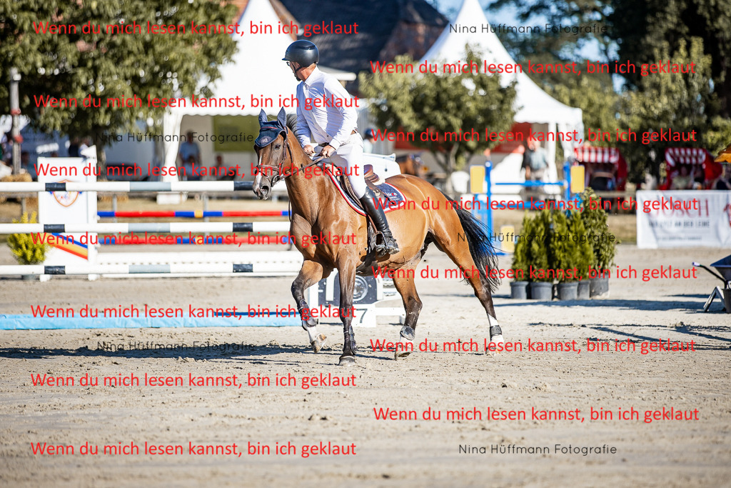 BK1A8155 | Turnierbilder Turnierfotos Nina Hüffmann Turnierfotografie Pferdefotografie Tierzeichnung Haustierzeichnung Pferdezeichnung Hundezeichnung Videograf  - Realisiert mit Pictrs.com