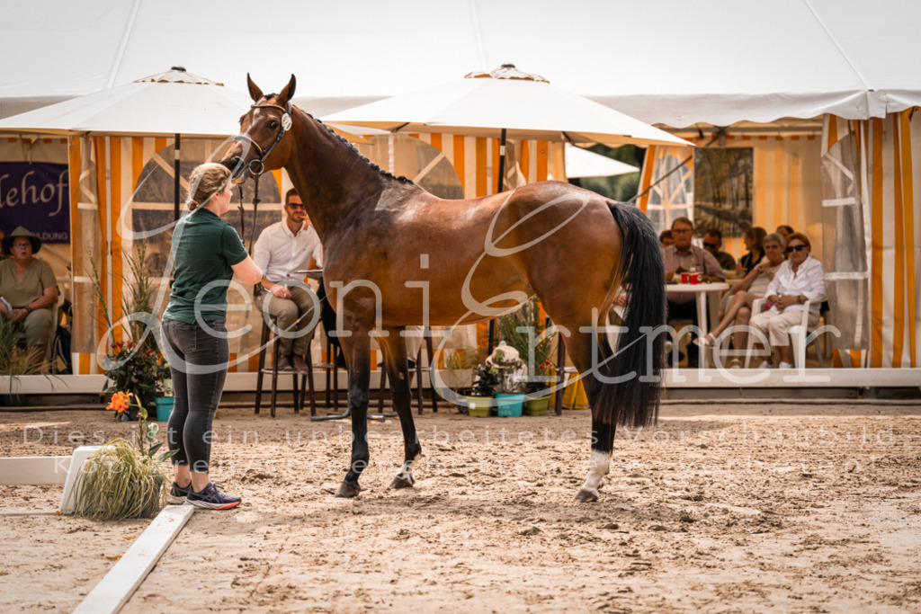 4.Fr00102 | Leoni Ertmer Photography - Realisiert mit Pictrs.com