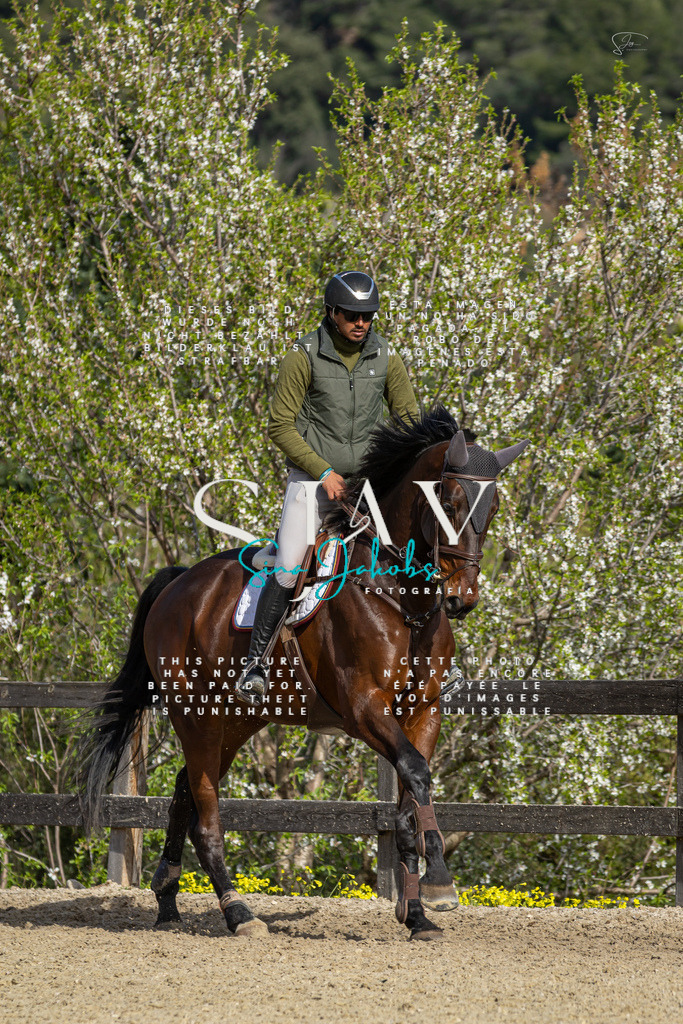 IMG_6865 | s-jay-photography - Realisiert mit Pictrs.com