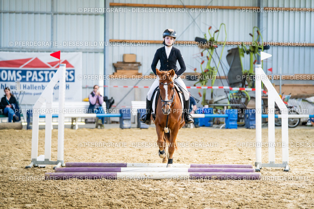 DSC01661 | Pferdegrafie