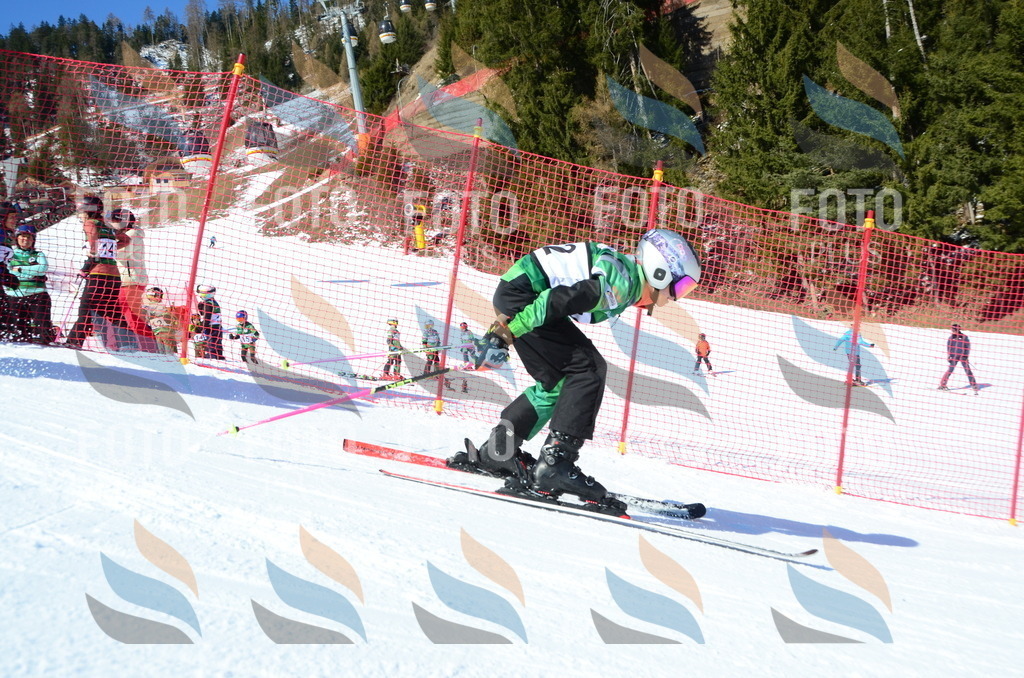 C5767 | holidayphoto