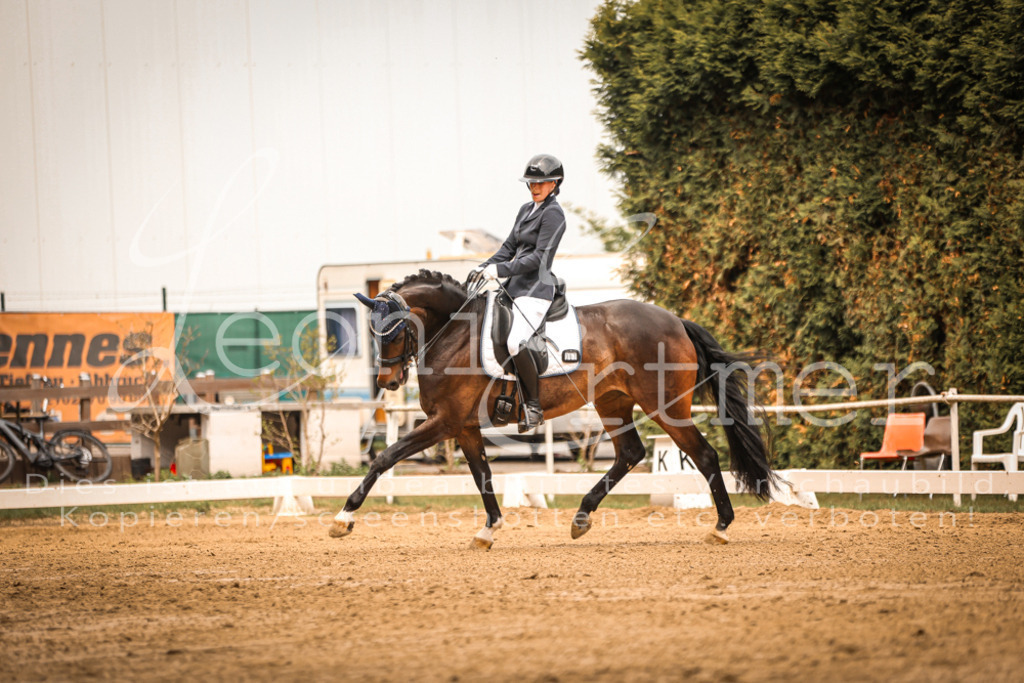 16.SaDrM00113 | Leoni Ertmer Photography - Realisiert mit Pictrs.com