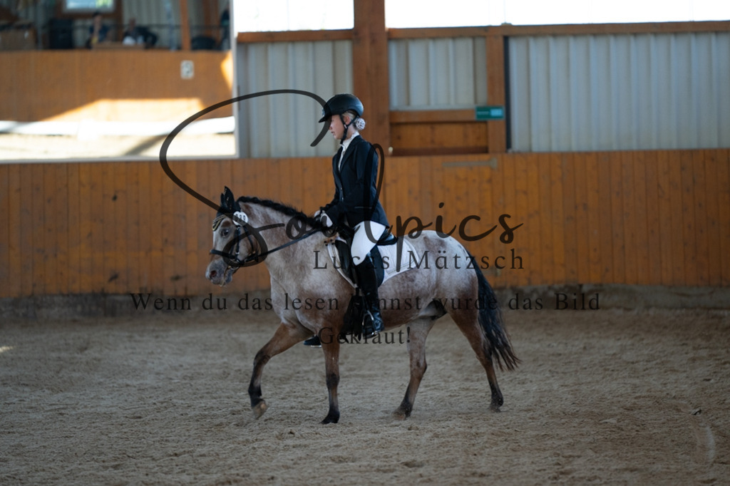 A7V01679 | Turnier/Reitfotograf