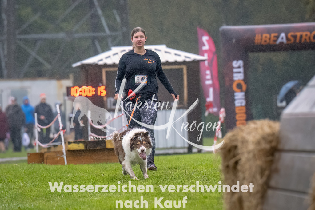 1001--8 | kk-dogfotos