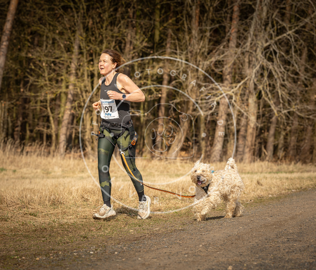 DV3A5452 | Hundefotografie, Tierfotograf, Pfotenfotografie, Fotoshooting Hund, Hunde Portrait, Hundesport, Hundeportraits, Heideshooting, Hunde, Sportfotograf, Hundefotograf, Turnierhundsport, THS,  - Realisiert mit Pictrs.com