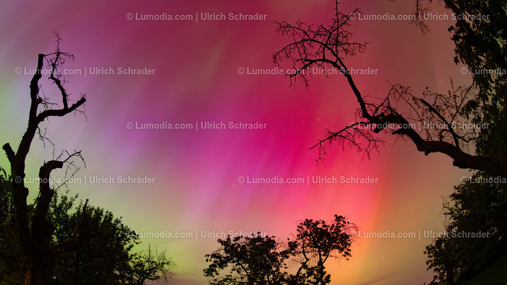 10049-13681 - Polarlichter im Harzkreis | Stockfoto und Bilderpool mit Bildmaterial aus Deutschland, dem Harz, Halberstadt, Quedlinburg, Wernigerode und weltweit. Qualitativ hochwertige und professionelle Fotos anschauen und kaufen. - Realisiert mit Pictrs.com