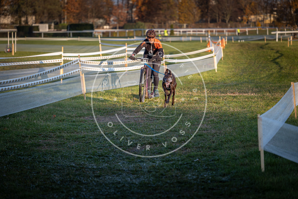 CaniXpix_0L8A2270 | Hundefotografie, Tierfotograf, Pfotenfotografie, Fotoshooting Hund, Hunde Portrait, Hundesport, Hundeportraits, Heideshooting, Hunde, Sportfotograf, Hundefotograf, Turnierhundsport, THS,  - Realisiert mit Pictrs.com