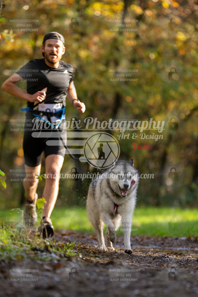 MompixPhotography_Bischwiller23_Canicross-21 | PayLife