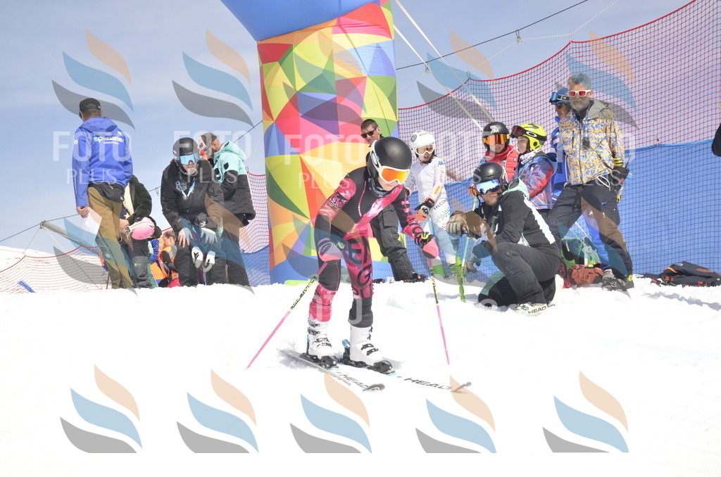 _ELE9366 | holidayphoto