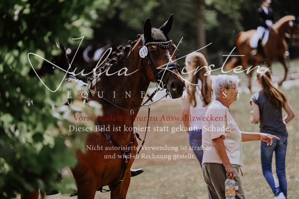 DSC_9540 | Pferde- und Turnierfotografie in Westsachsen. Pferdeportraits, Auftragszeichnungen und intuitive Kunst.