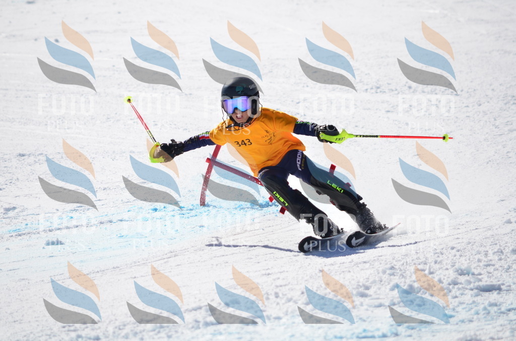 C9743 | holidayphoto