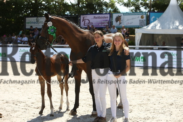 Birkhof_2022_Fohlenchampionat_Fohlenprämierung (106) | Alle Fotos der Reiterjournal Fotografin Doris Matthaes im Reiterjournal Online-Fotoshop. - Realizado com Pictrs.com