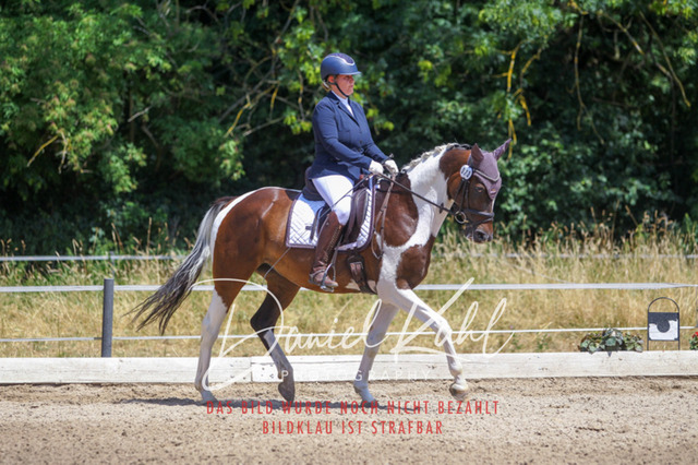 DKP46381 | Turniersportfotografie; Pferdefotografie; Dressurfotografie