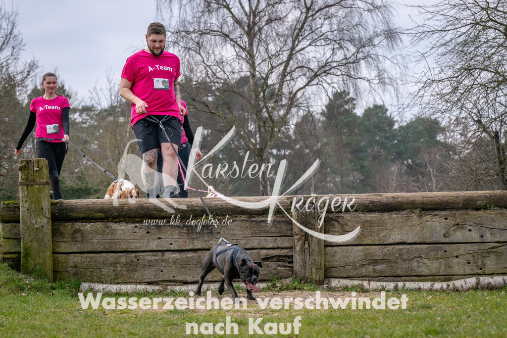 _ZZ91539 | kk-dogfotos