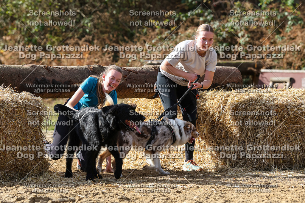 Dog Paparazzi - Strongdog 10-25-5342 | Dog Paparazzi Jeanette Grottendiek Fotografie & Videografie - Realisiert mit Pictrs.com