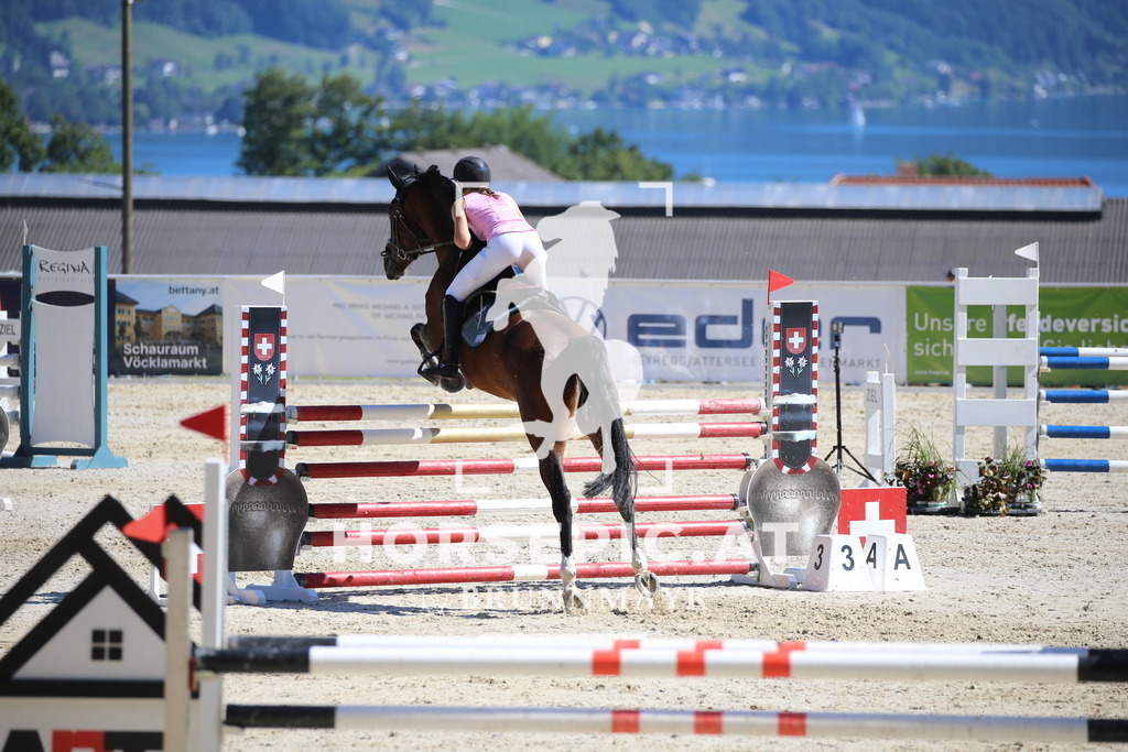 DL2Q4294 | Willkommen bei Brunnmayr - Design & Fotografie – Ihrem Spezialisten für Reitturniere und Pferdeveranstaltungen in Oberösterreich, Salzburg und Bayern! Seit über 17 Jahren sind wir leidenschaftlich dabei.