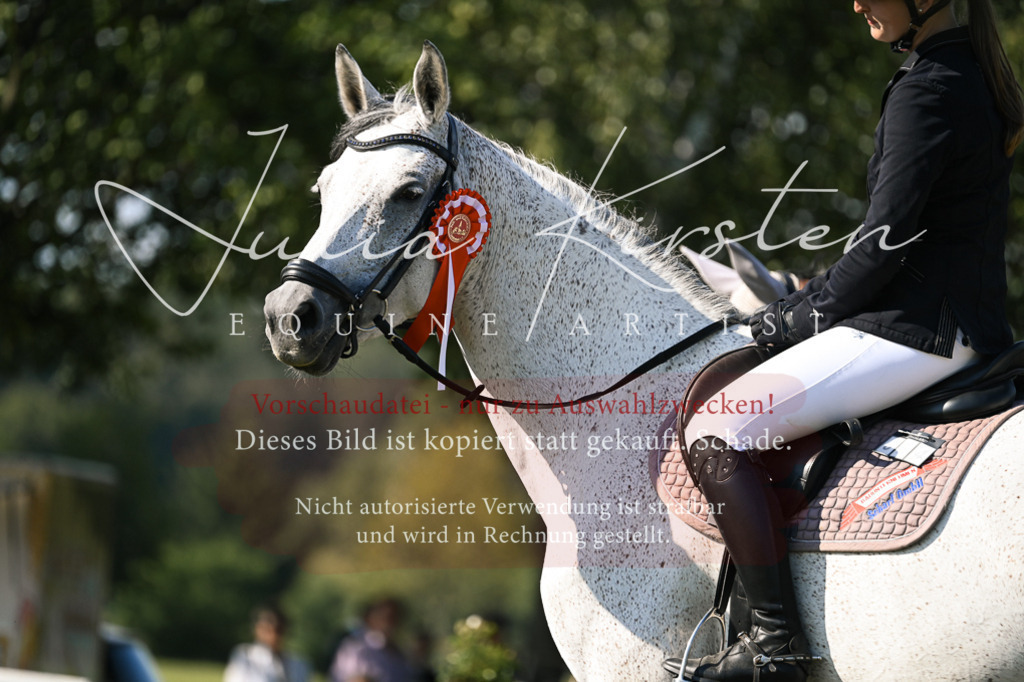 DSC_1549 | Pferde- und Turnierfotografie in Westsachsen. Pferdeportraits, Auftragszeichnungen und intuitive Kunst.