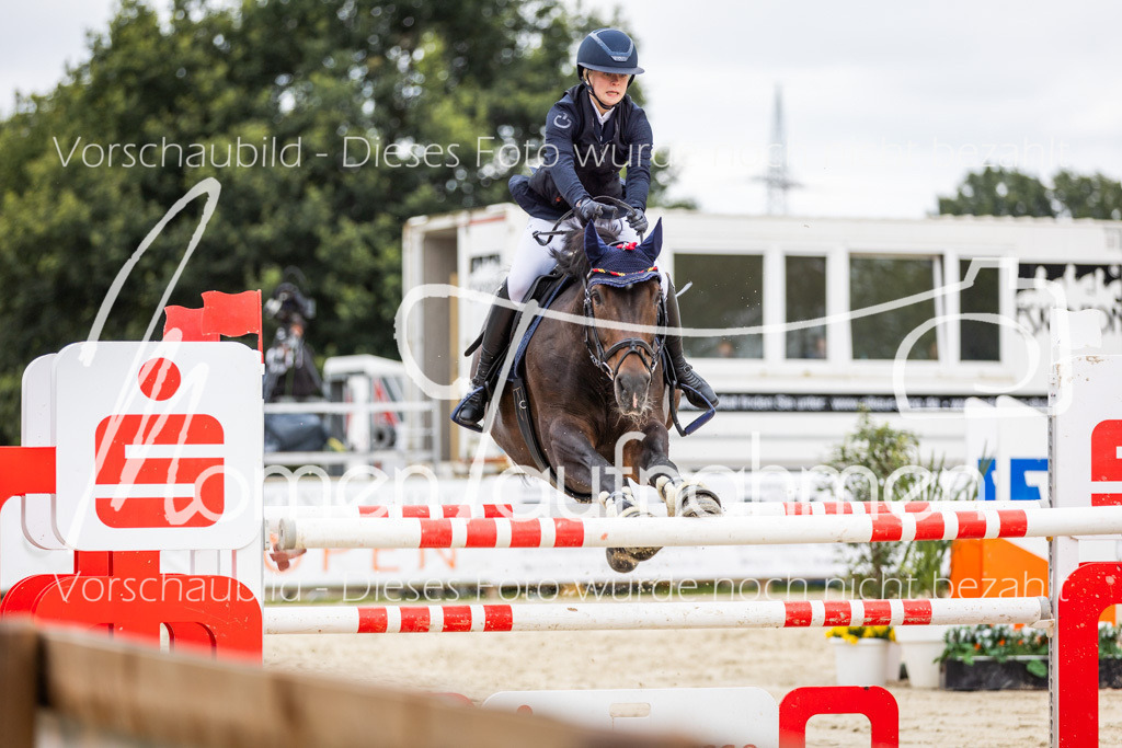 BHO-2PhSpr-M-5-2407 | MomenTaufnahmen Pferdesportfotos