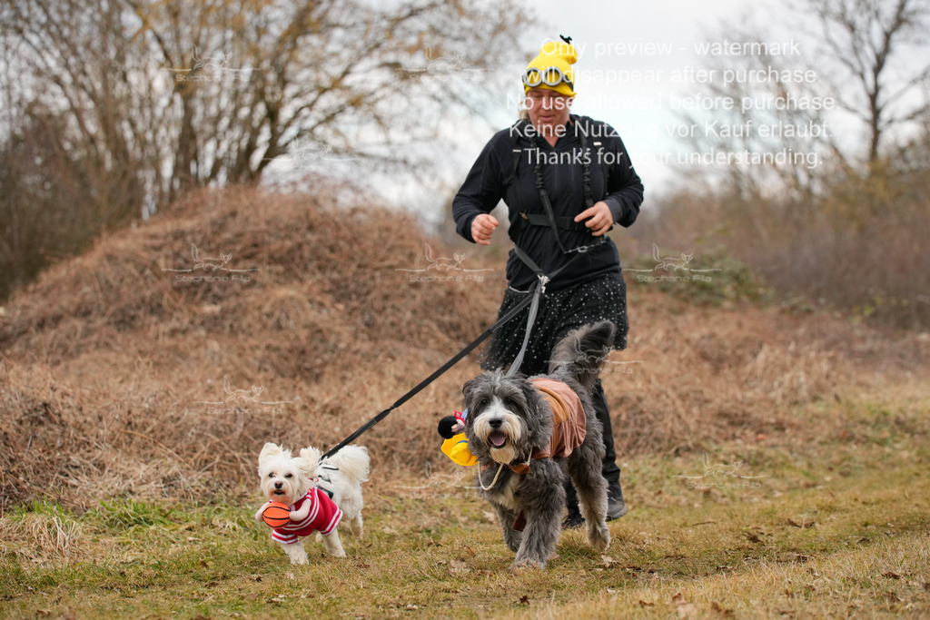 2Fasching-4 | stephaniefillaphotographie - Realisiert mit Pictrs.com
