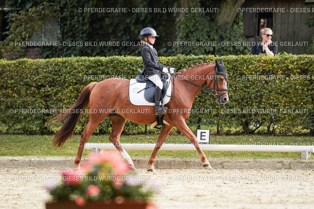 DSC04829 | Pferdegrafie