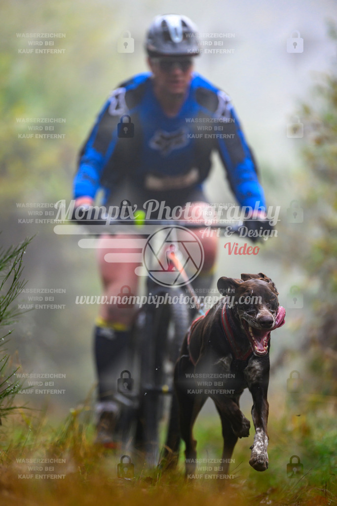 MompixPhotography_20TSB_E4_Bike-82 | PayLife