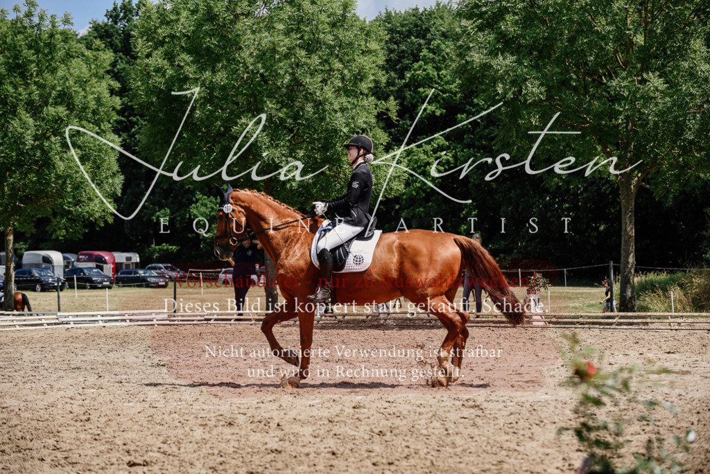 DSC_1543 | Pferde- und Turnierfotografie in Westsachsen. Pferdeportraits, Auftragszeichnungen und intuitive Kunst.