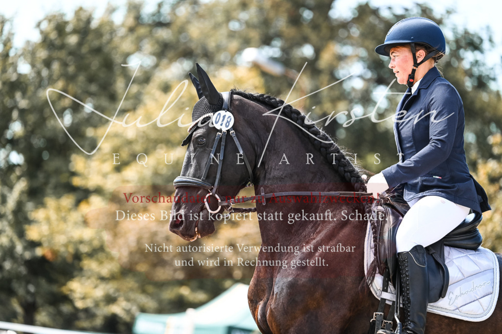 DSC_5400 | Pferde- und Turnierfotografie in Westsachsen. Pferdeportraits, Auftragszeichnungen und intuitive Kunst.