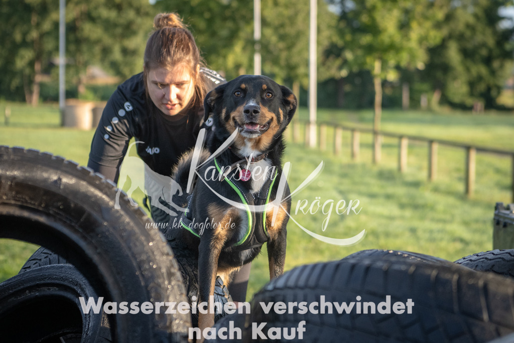 0804_ZZ90117 | kk-dogfotos
