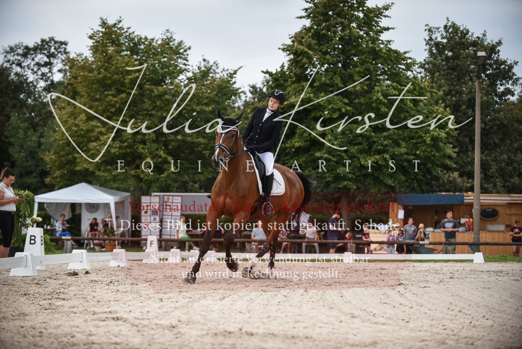 DSC_8100 | Pferde- und Turnierfotografie in Westsachsen. Pferdeportraits, Auftragszeichnungen und intuitive Kunst.