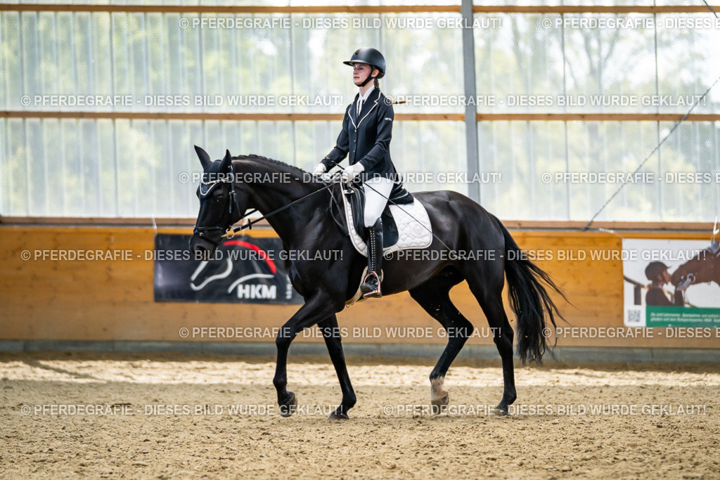 DSC05849 | Pferdegrafie