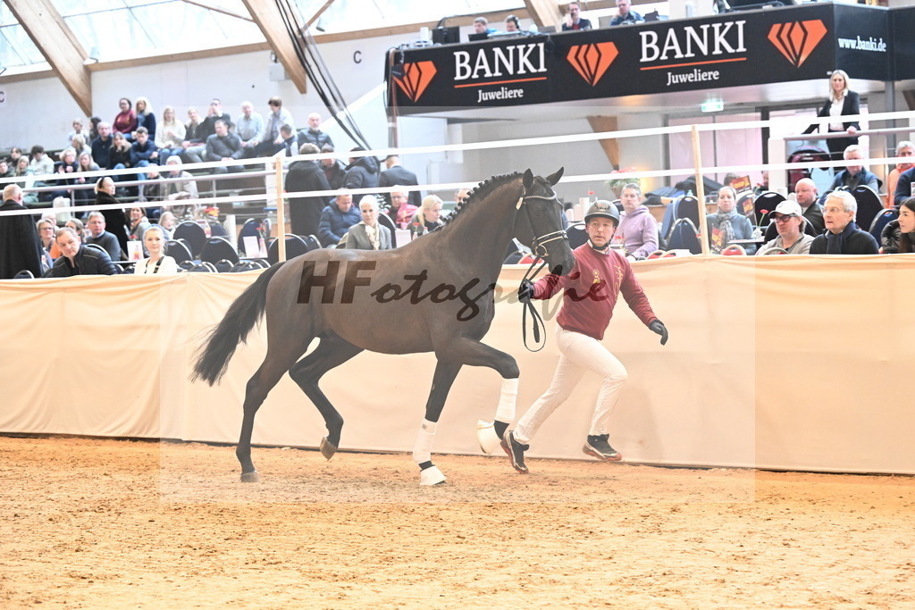 Kat.-Nr. 39 v. De Chirico_Schadock_3265106 | hf-fotografie - Realisiert mit Pictrs.com