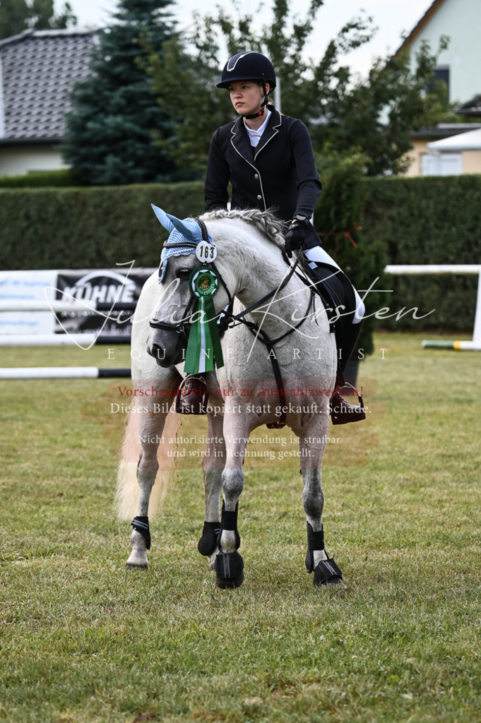 DSC_5777 | Pferde- und Turnierfotografie in Westsachsen. Pferdeportraits, Auftragszeichnungen und intuitive Kunst.