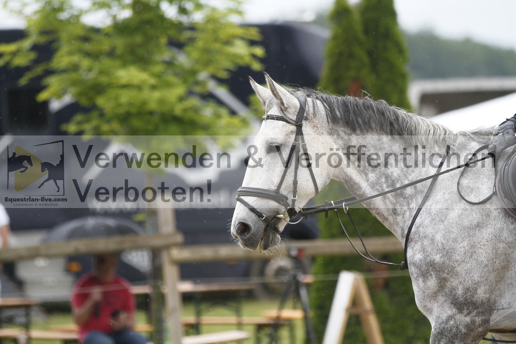 _MG_9622 | equestrian-live-com