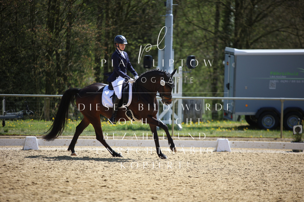 IMGT7086 | pl-fotografie