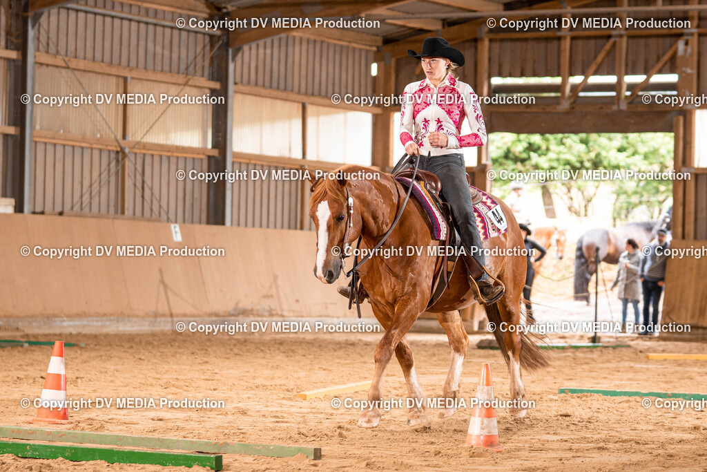 Losheim Tag 2-52 | dv-media-shop - Realisiert mit Pictrs.com