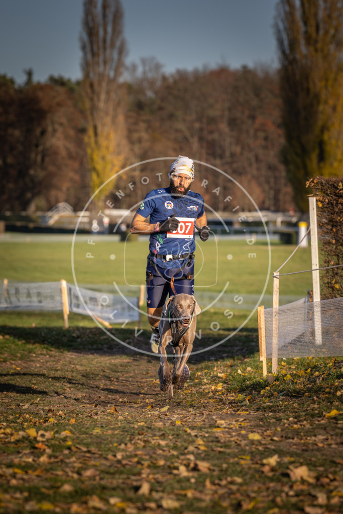 CaniXpix_DV3A2962 | Hundefotografie, Tierfotograf, Pfotenfotografie, Fotoshooting Hund, Hunde Portrait, Hundesport, Hundeportraits, Heideshooting, Hunde, Sportfotograf, Hundefotograf, Turnierhundsport, THS,  - Realisiert mit Pictrs.com