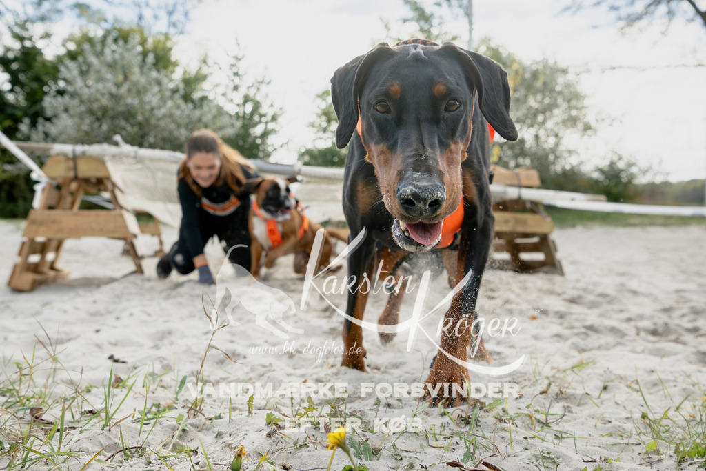 1305_ZZ94730 | kk-dogfotos