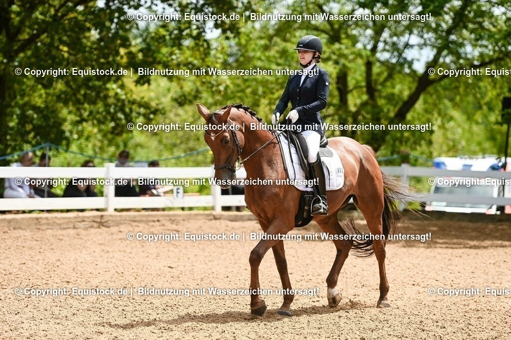 20230716_03_Dressurprfg. Kl.L - Tr._0375 | equistock