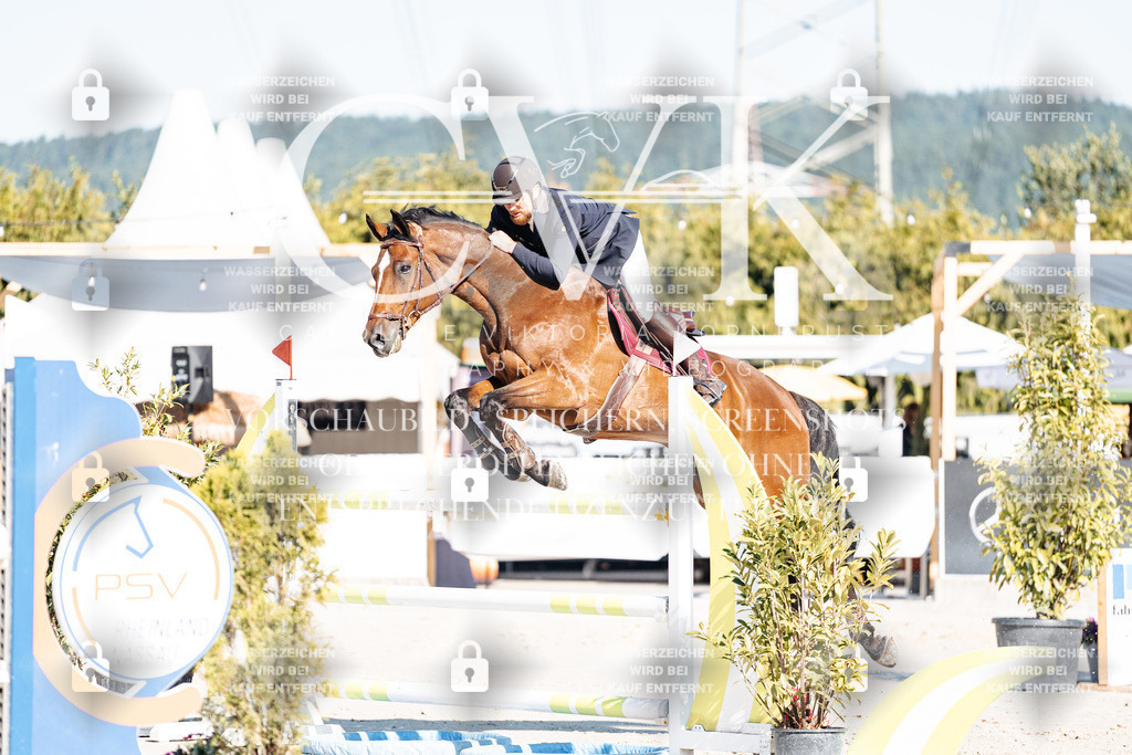 CK904627 | Turnierfotografie Pferdefotografie Trier Rheinland-Pfalz Pferdesport Reitsport Tierfotografie Sportfotografie Pferdevideo Pferdevideografie Equestrianvideography equestrianphotography  - Realisiert mit Pictrs.com